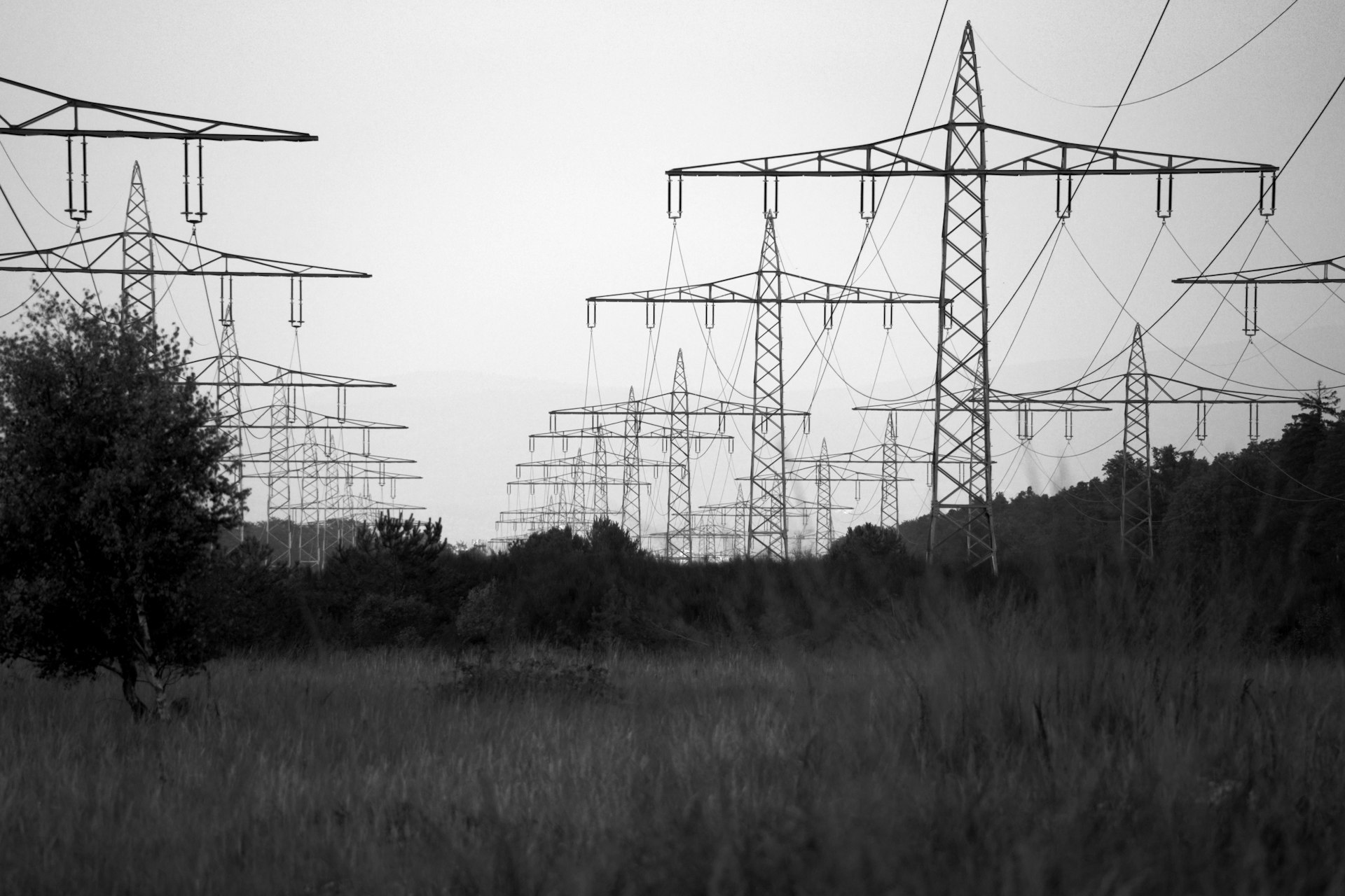 Rows of electrical pylons march across a grassy field.
